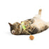 Huxley & Kent Avocado Popper Cat Toy - Poudre Pet & Feed Supply 3